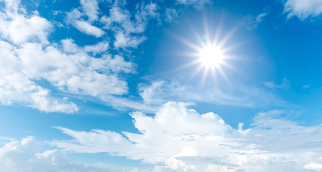 ikemen (1080 x 1320 px).jpg (89 KB)