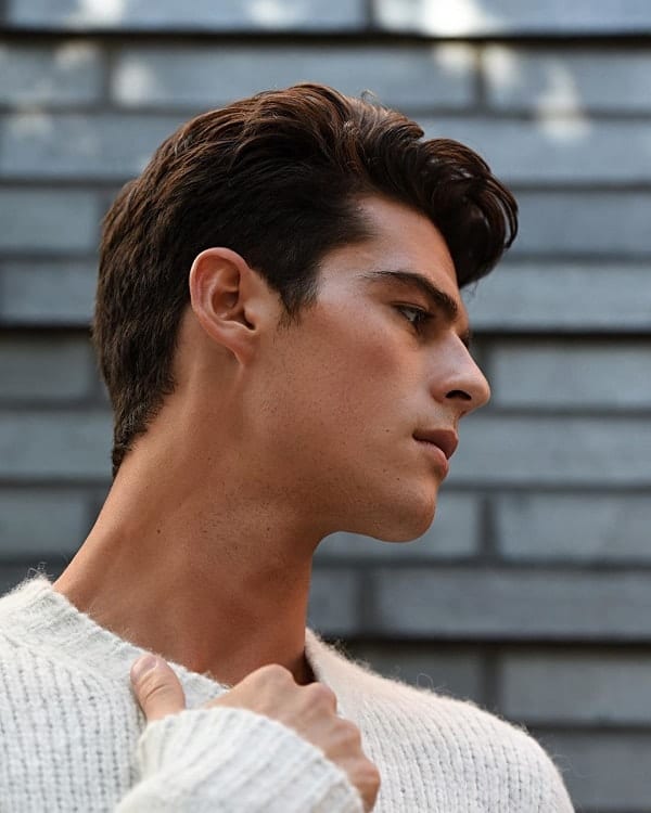 2-mens-dark-brown-hair.jpg (44 KB)